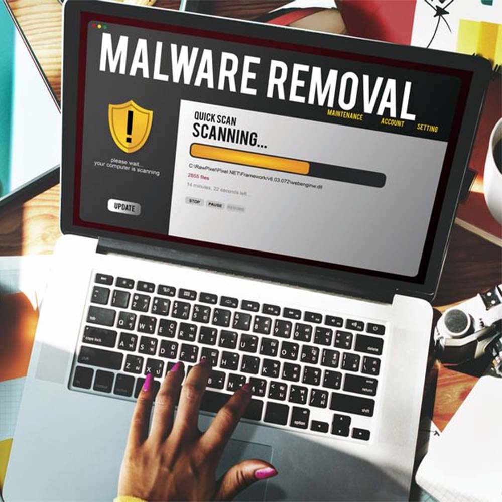 Virus and Malware Removal